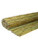 Καλαμωτή Bamboo Ø20-25mm (150x250cm ΥxΠ) - 30274