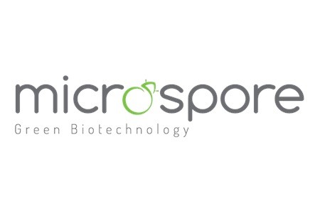 Microspore