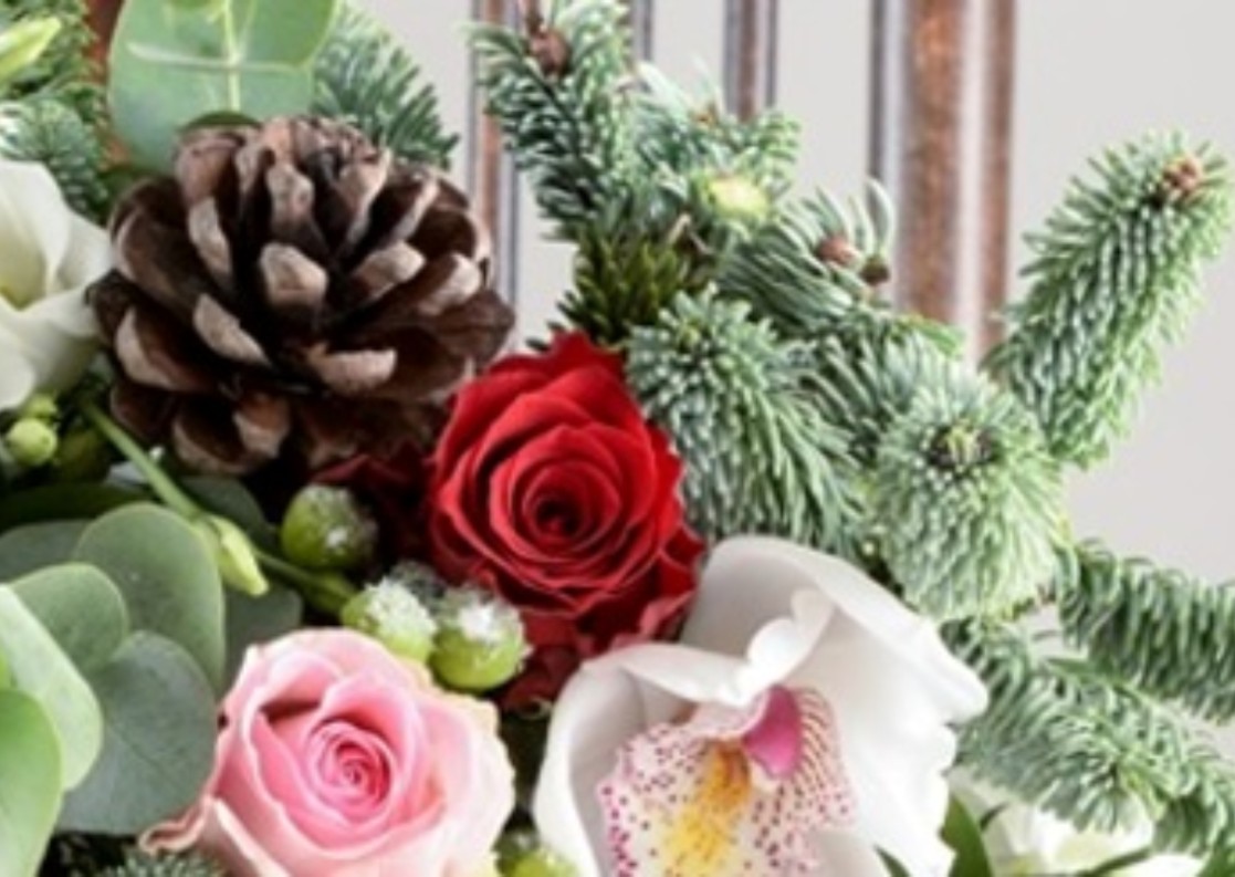 Στολίζουμε και γιορτάζουμε με Χριστουγεννιάτικα φυτά που συμβολίζουν ανθρώπινες χαρές και προσδοκίες